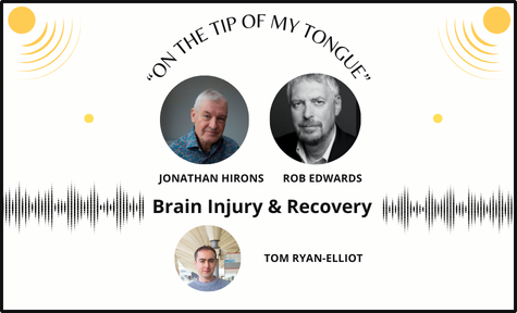 brain injury and recovery 2